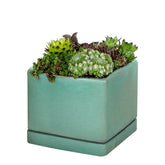 Campania I/O Series Cube - Set of 6